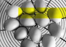 Benefits of eggs in your diet