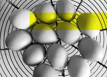 Benefits of eggs in your diet