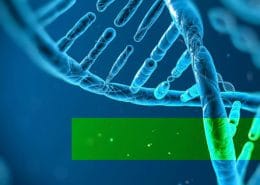 Reprogram your genes