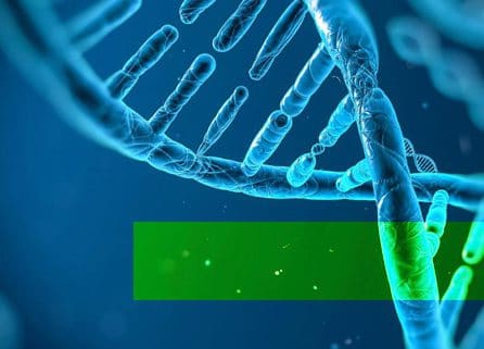 Reprogram your genes