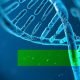 Reprogram your genes